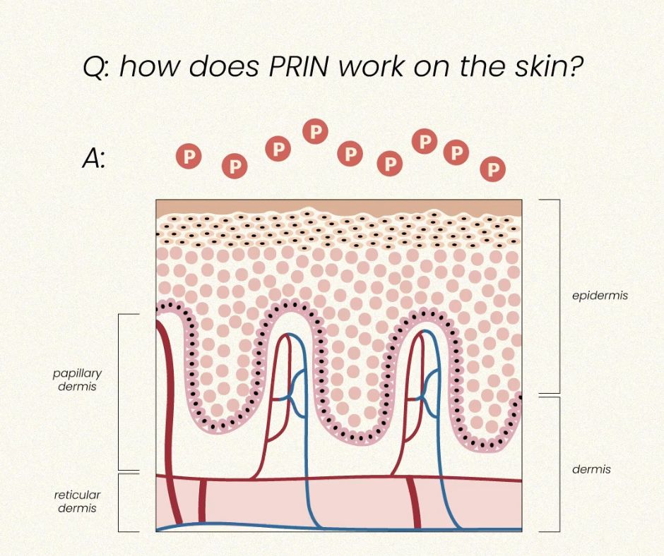 Where Skin Health meets the rest of the body